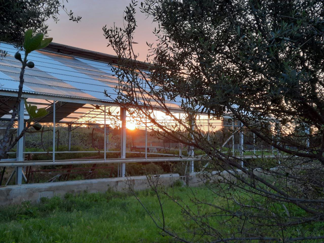 centro-de-felizzidade-sardegna-9